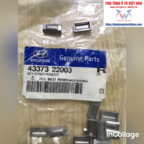 CÁ ĐỒNG TỐC 3&4 (2 CHẤM) - 4337322003